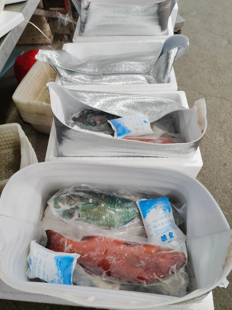 海运情深 水产品打包发货全攻略