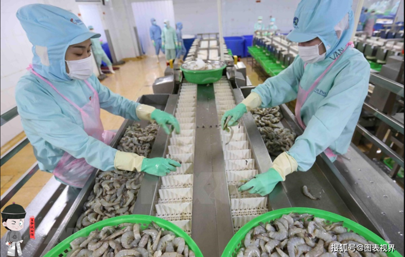 8个月越南出口水产品261.5亿美元 对美国出口63亿，对中国出口表现如何？
