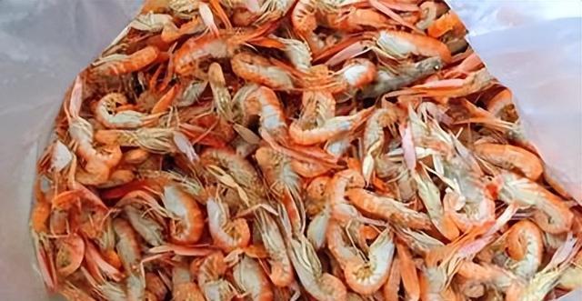 探秘水产品中的珍品 狗虾的独特魅力与营养价值